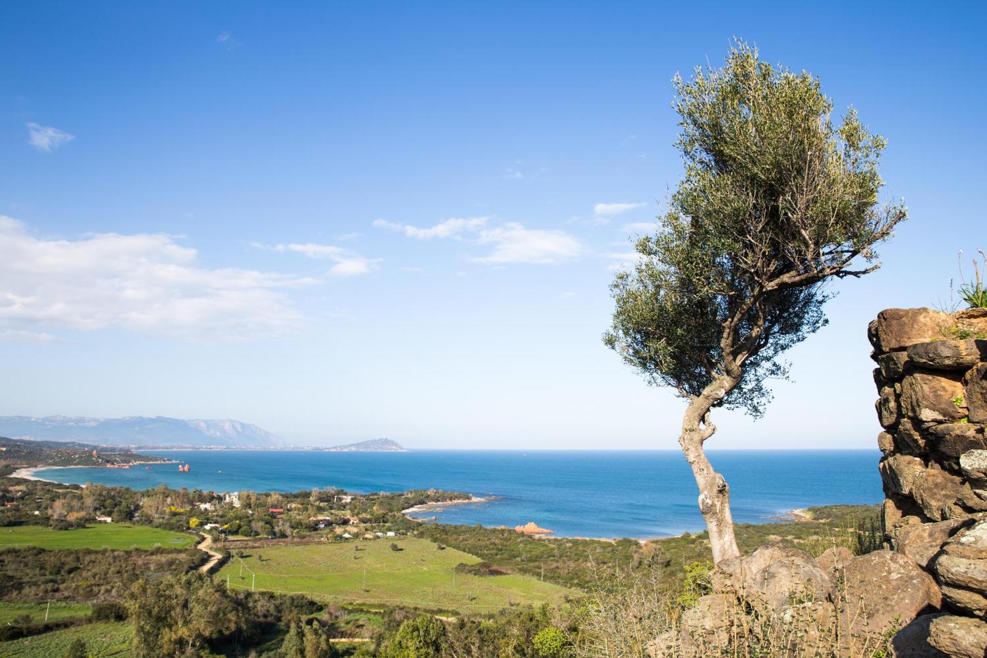 Le Corti Sarde Garden Lägenhet Bari Sardo Exteriör bild